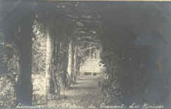 10_couv_13.jpg (53548 octets)